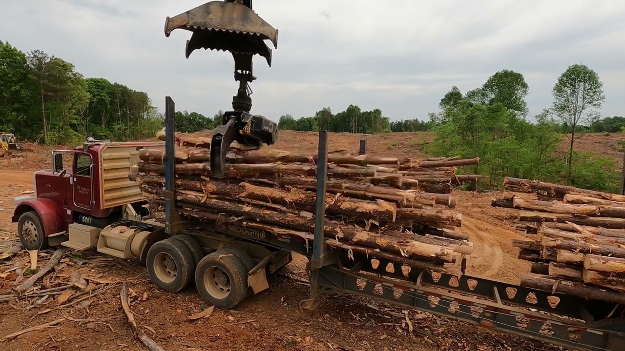 Forestry operations in Washington County