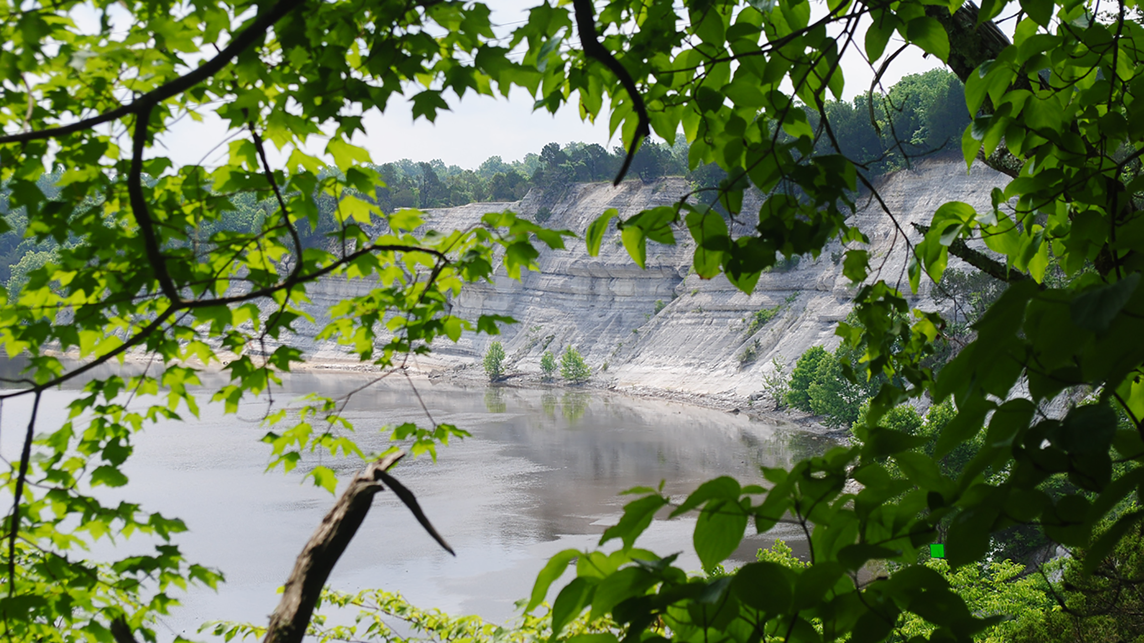 Natural beauty along the Tombigbee in Washington County
